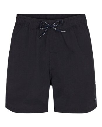 H2o Shorts Leisure Swim Shorts Black
