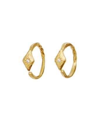 Maanesten øreringe Forte Earrings Guld